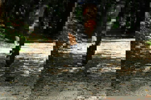 Rear view of someones feet as they are running on a gravel path