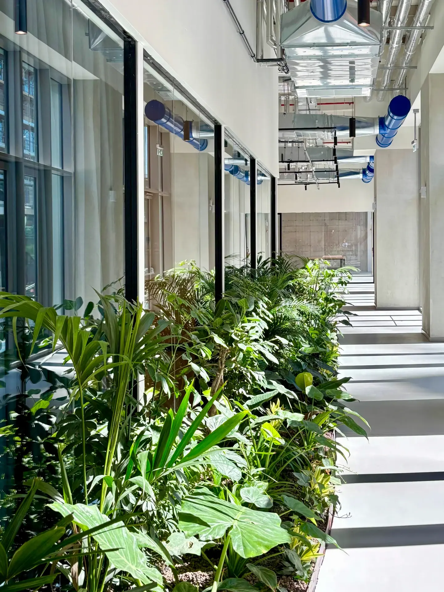 Aparto Manifattura 15