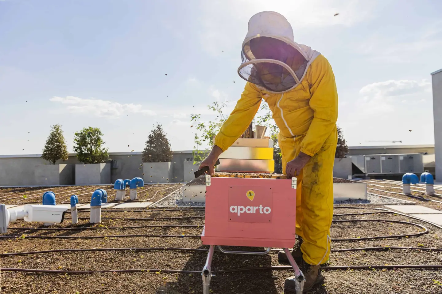 immagine della comunità 2