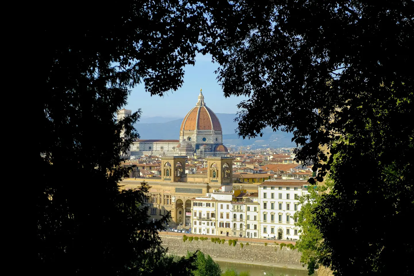 University of Florence Admission Guide