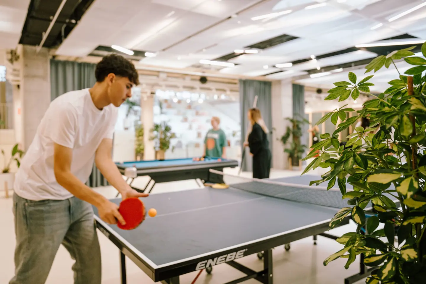 282 Aparto Lifestyle Pallars 02102024